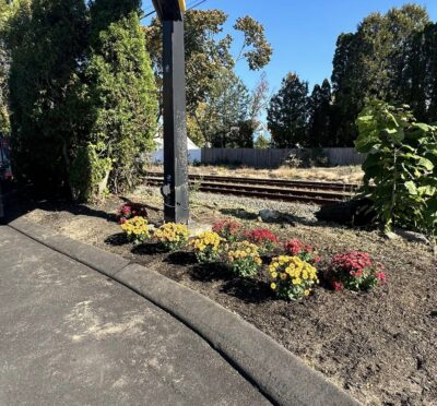 aaa pro landscaping-2 aaa pro landscaping-2