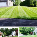 aaa pro landscaping design-0