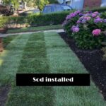 aaa pro landscaping design1