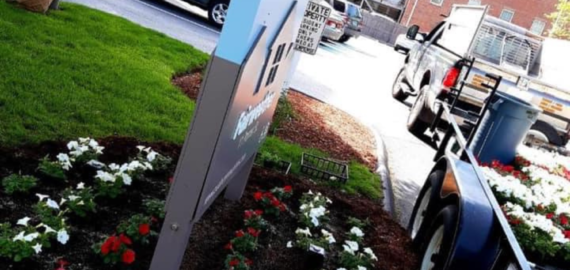 aaa pro planting plants
